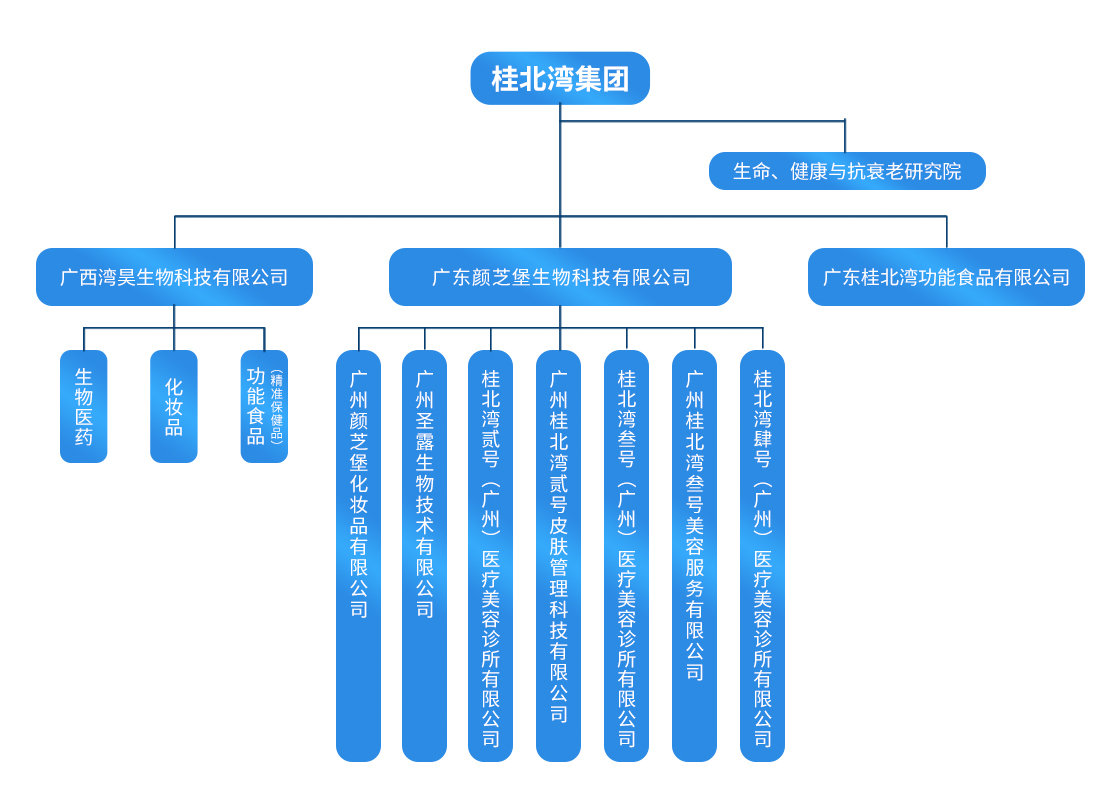 集团.jpg